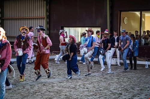 lolmetjehobbyhorseknol.nl lolmetjehobbyhorseknol.nl